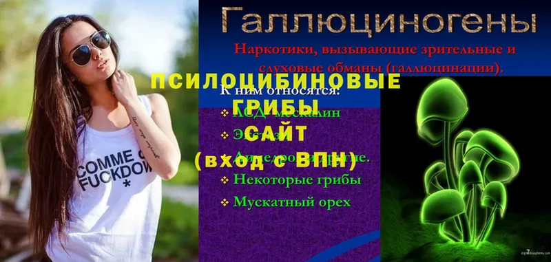 Псилоцибиновые грибы мицелий  блэк спрут как зайти  Заполярный 